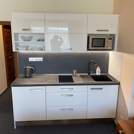 Apartmany Wellness Frymburk Exteriör bild