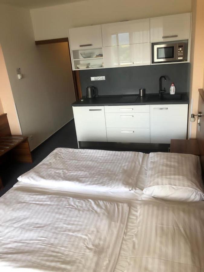 Apartmany Wellness Frymburk Exteriör bild