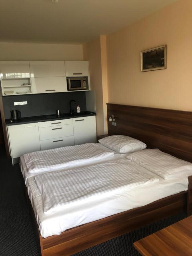 Apartmany Wellness Frymburk Exteriör bild